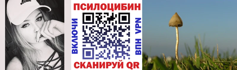 купить наркотики цена  Зуевка  Галлюциногенные грибы Cubensis 